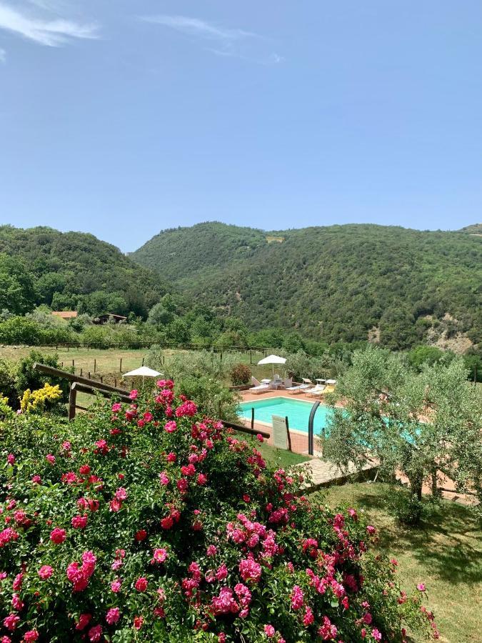 Castiglione dʼOrcia Podere Le Mulina מראה חיצוני תמונה