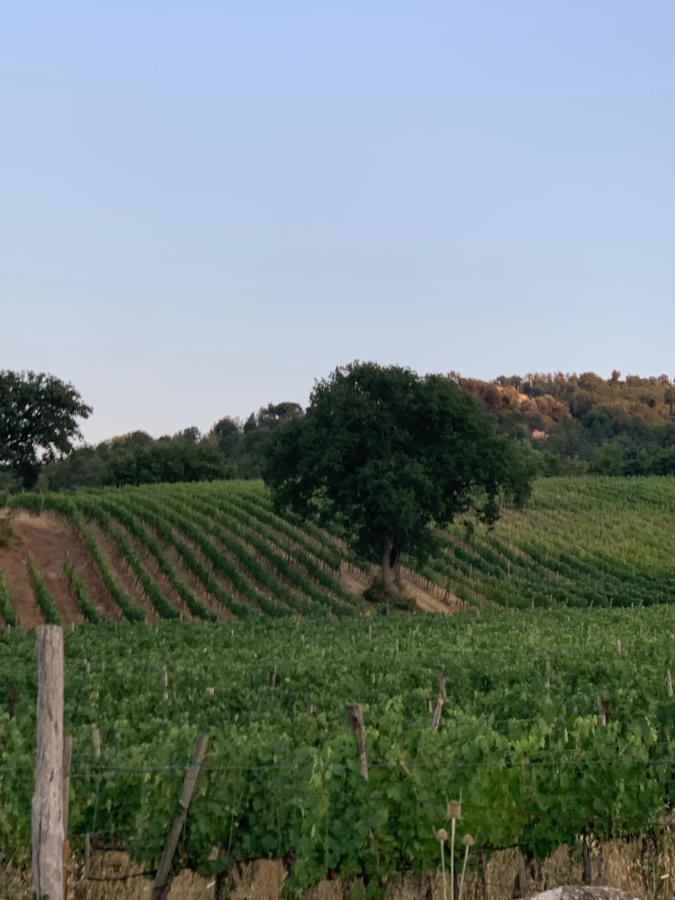Castiglione dʼOrcia Podere Le Mulina מראה חיצוני תמונה